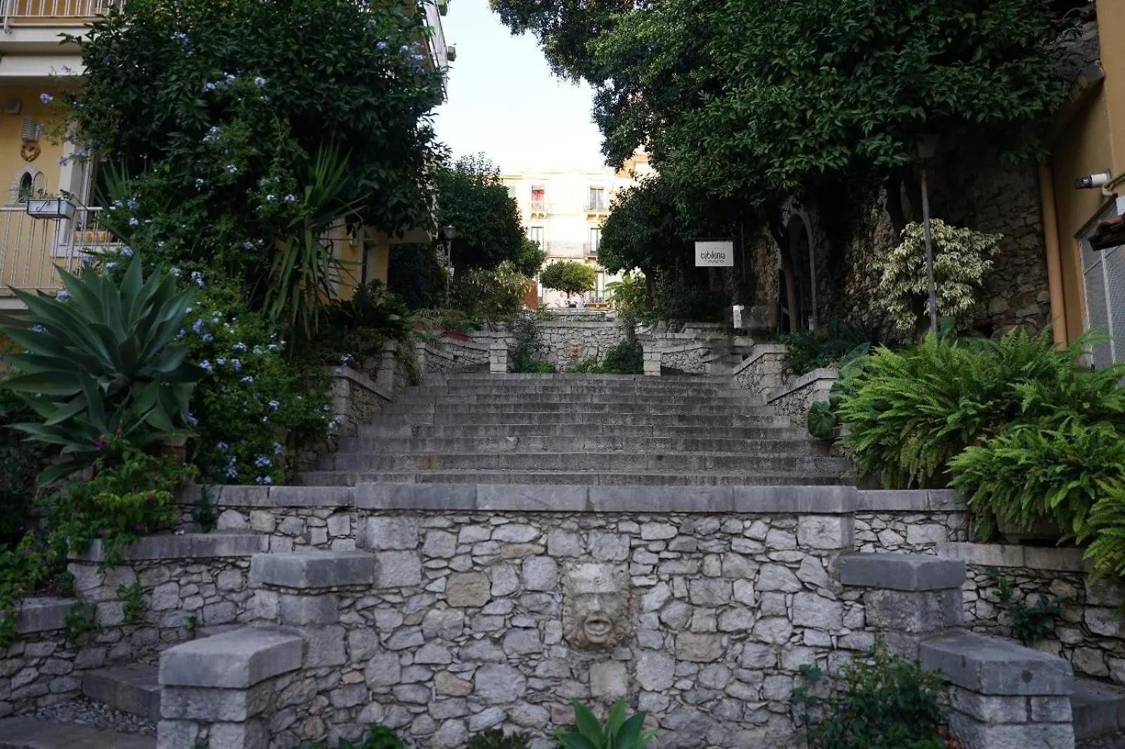 Opuntia Charming Rooms Taormina Affittacamere